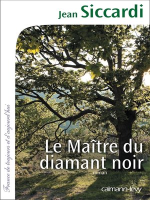 cover image of Le Maître du diamant noir